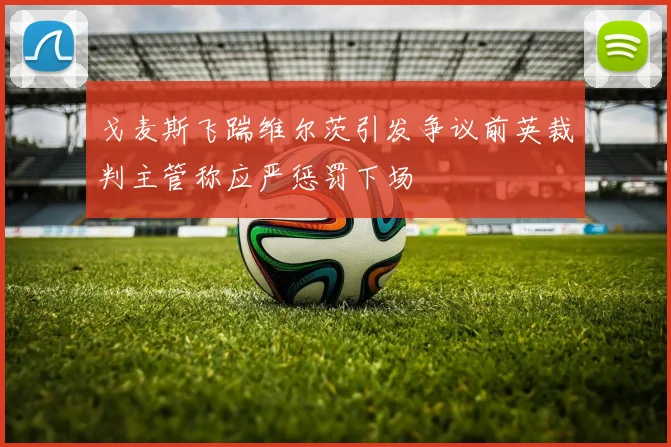 戈麦斯飞踹维尔茨引发争议前英裁判主管称应严惩罚下场