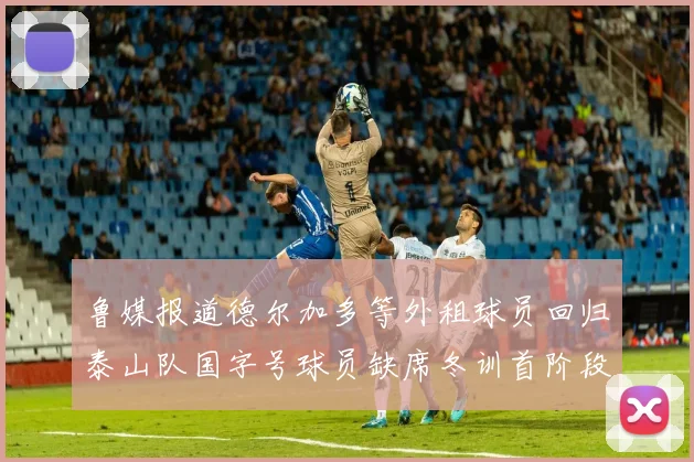 鲁媒报道德尔加多等外租球员回归泰山队国字号球员缺席冬训首阶段