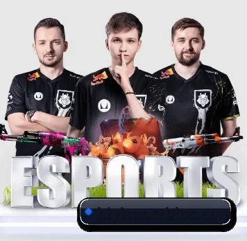 必一体育 APP(BSports)